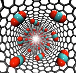 Carbon dioxide storage inside carbon nanotubes. ©Jason Reese and Matthew Borg Carbon dioxide storage inside carbon nanotubes. ©Jason Reese and Matthew Borg